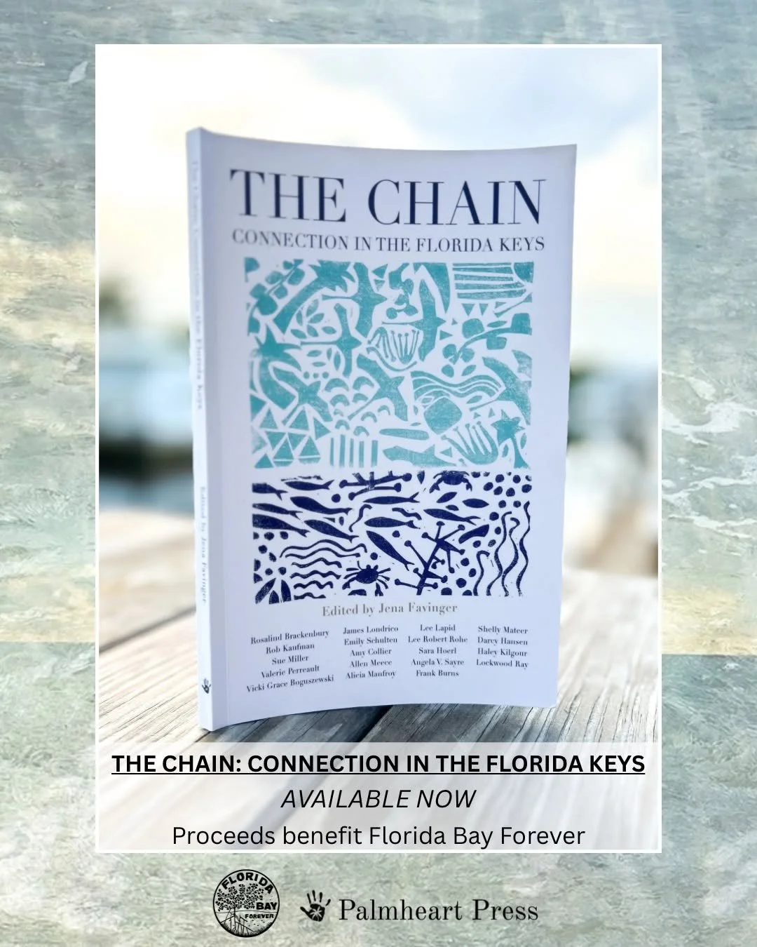 The Chain Connection In The Florida Keys.jpg