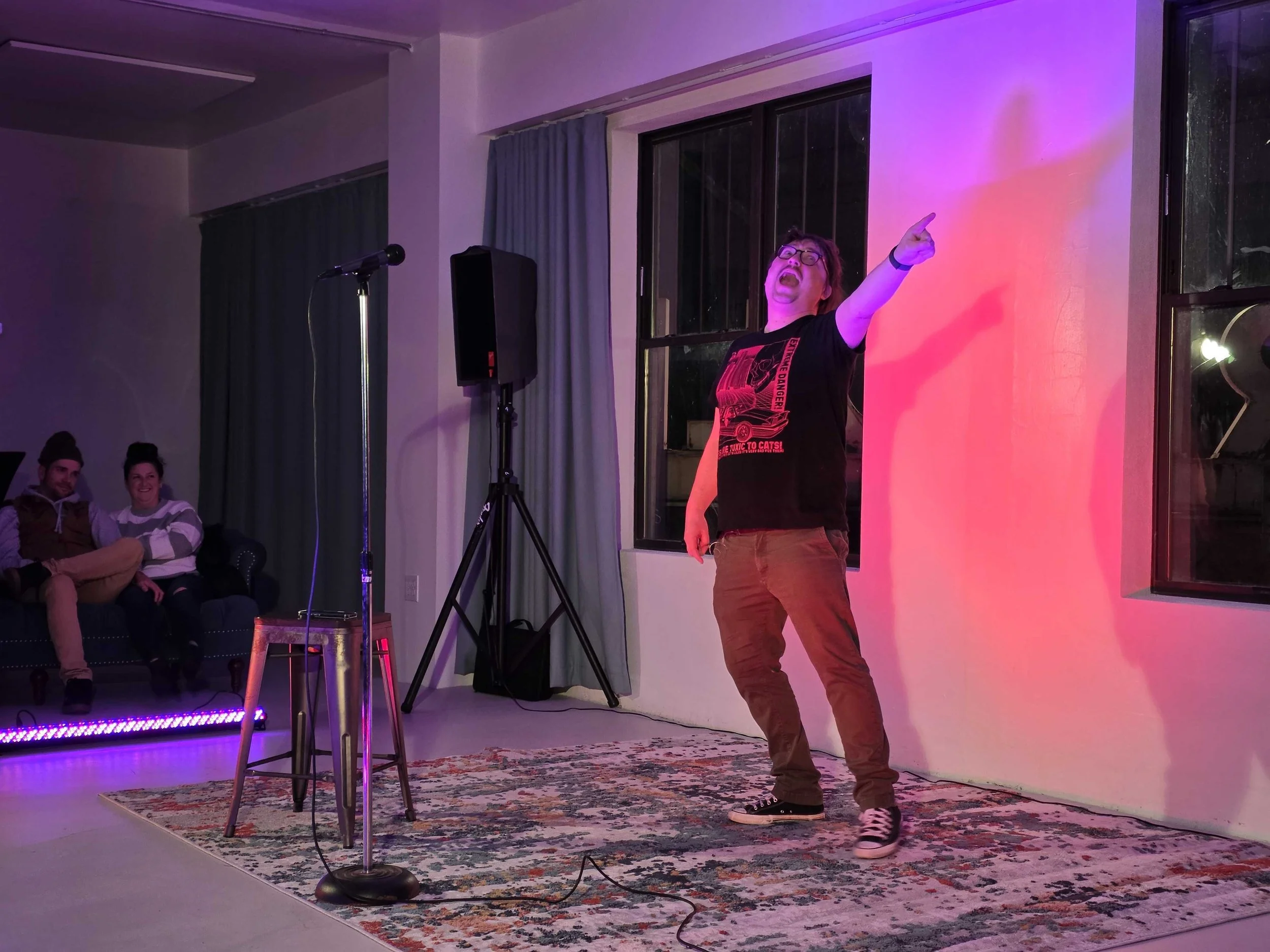 Comedy Show 4.jpg