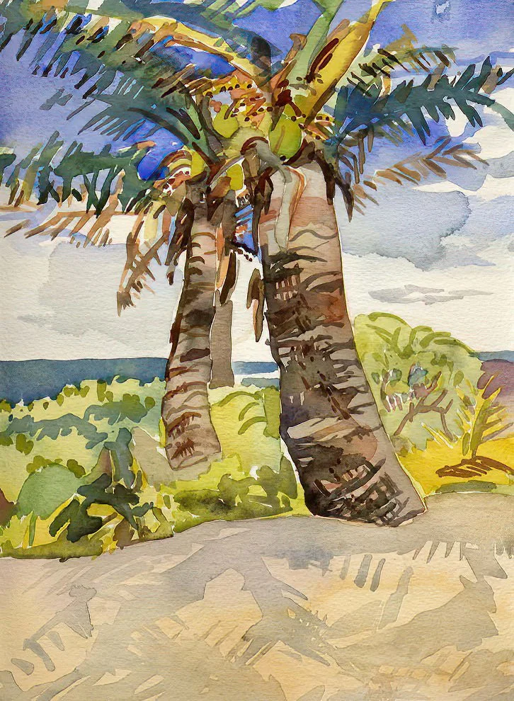 kauaipalms.jpg