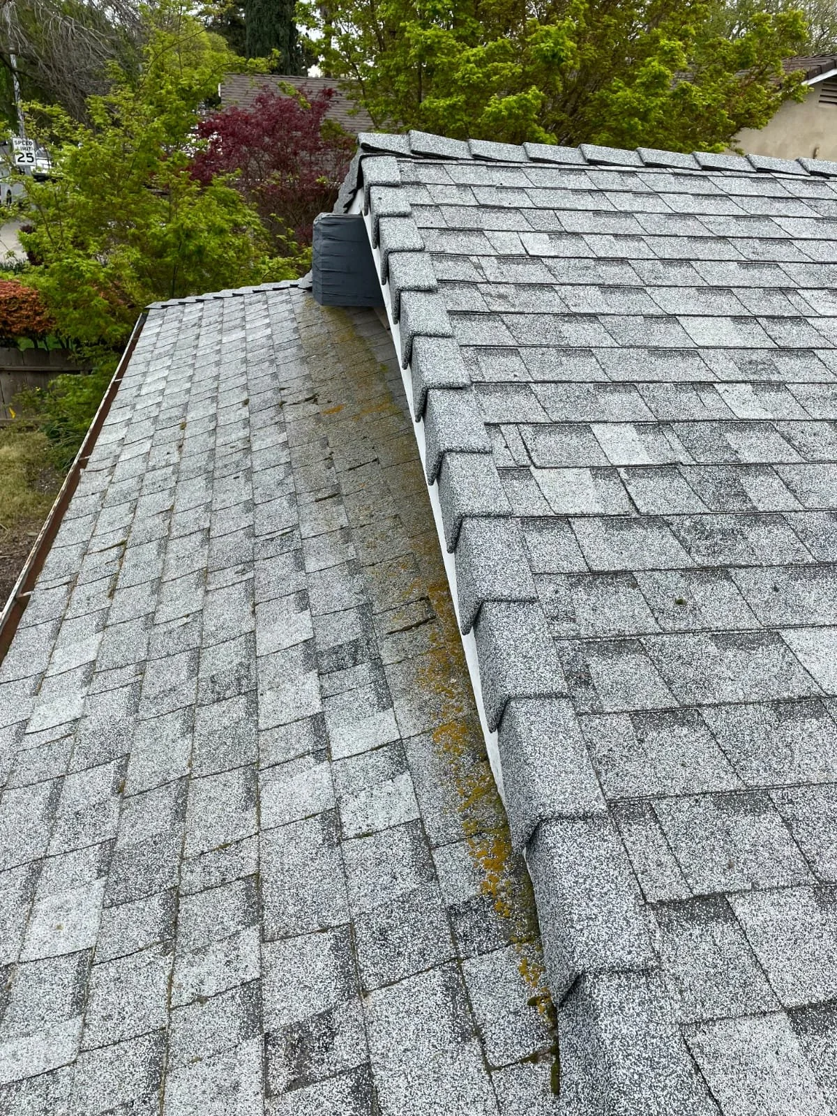 WhatsApp Image 2025-11-27 at 10.55.59 PM.jpeg