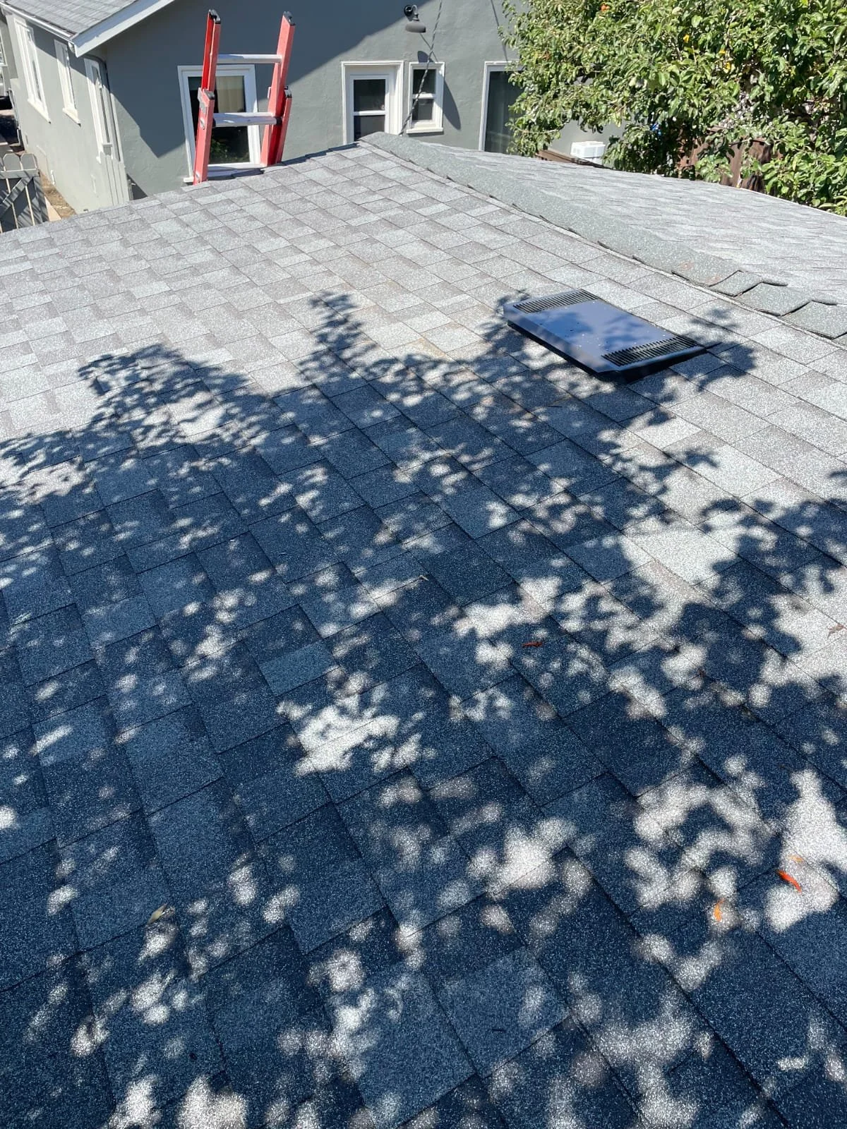 WhatsApp Image 2025-11-27 at 10.58.57 PM.jpeg