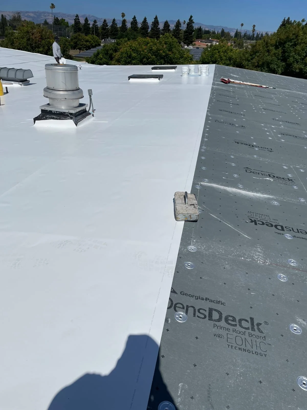 WhatsApp Image 2025-11-27 at 11.18.16 PM.jpeg