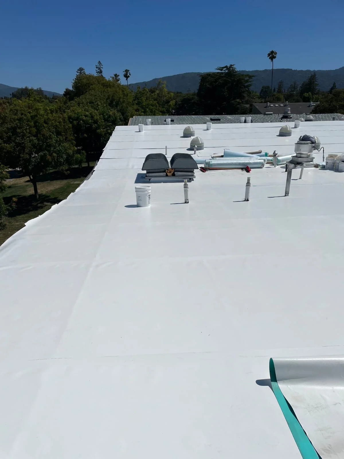 WhatsApp Image 2025-11-27 at 11.18.20 PM.jpeg