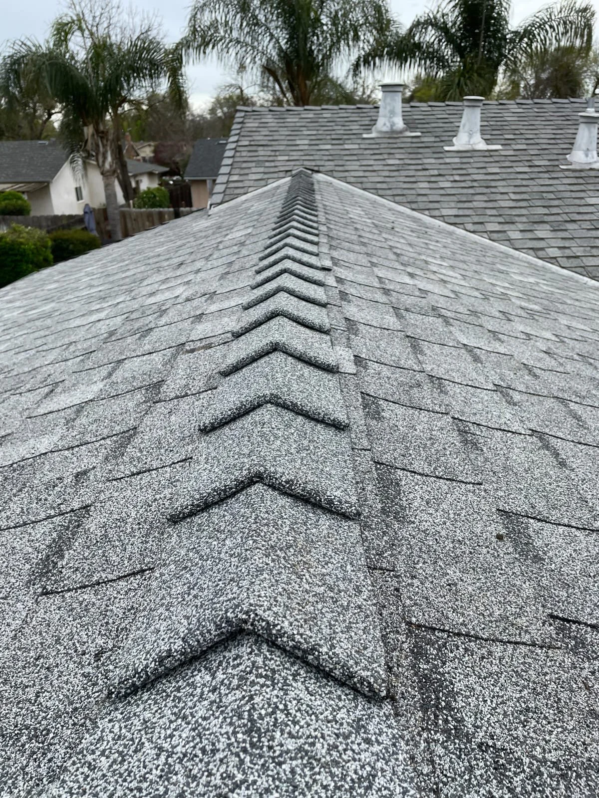 WhatsApp Image 2025-11-27 at 10.56.06 PM.jpeg