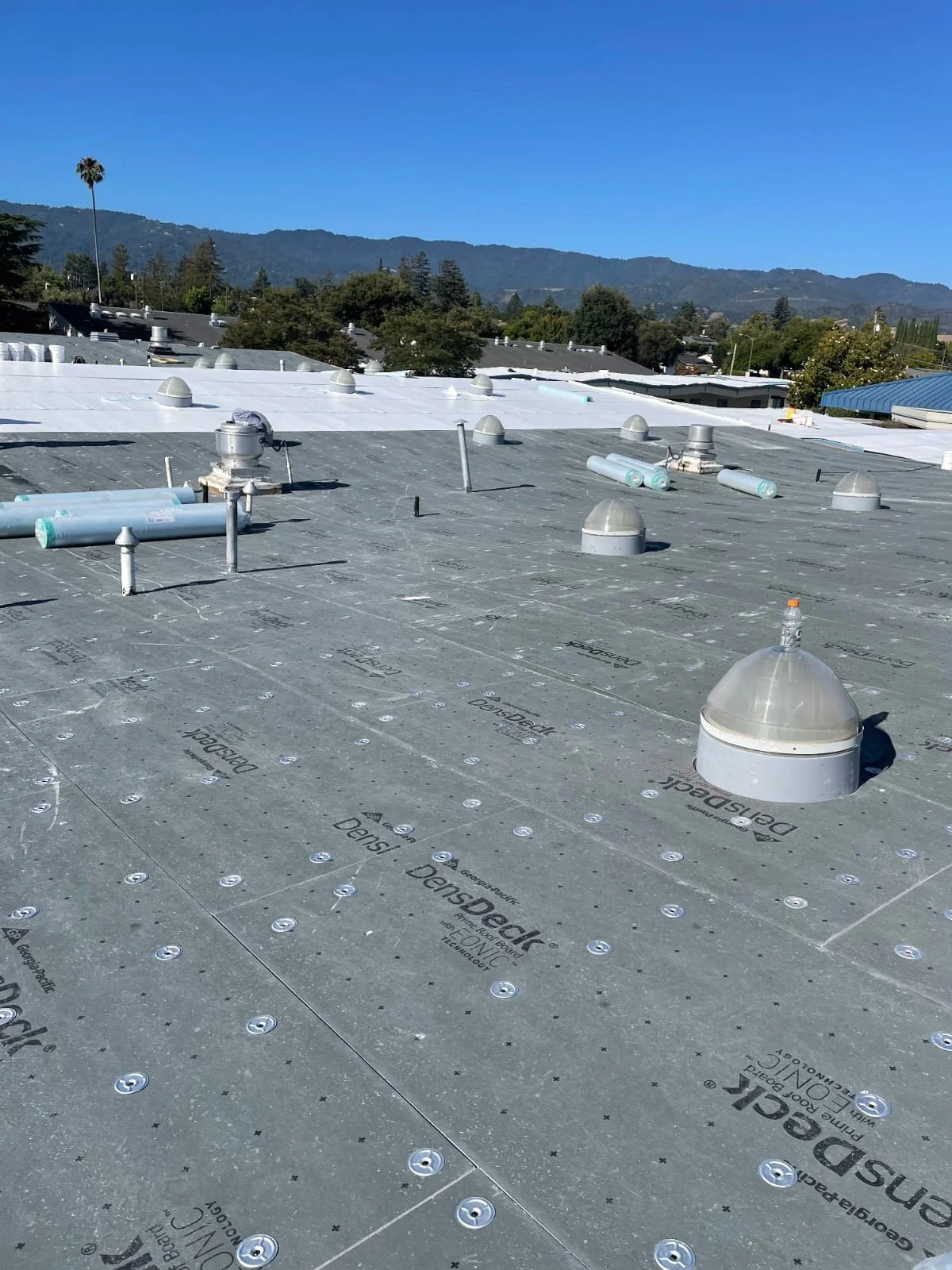 WhatsApp Image 2025-11-27 at 11.18.36 PM.jpeg