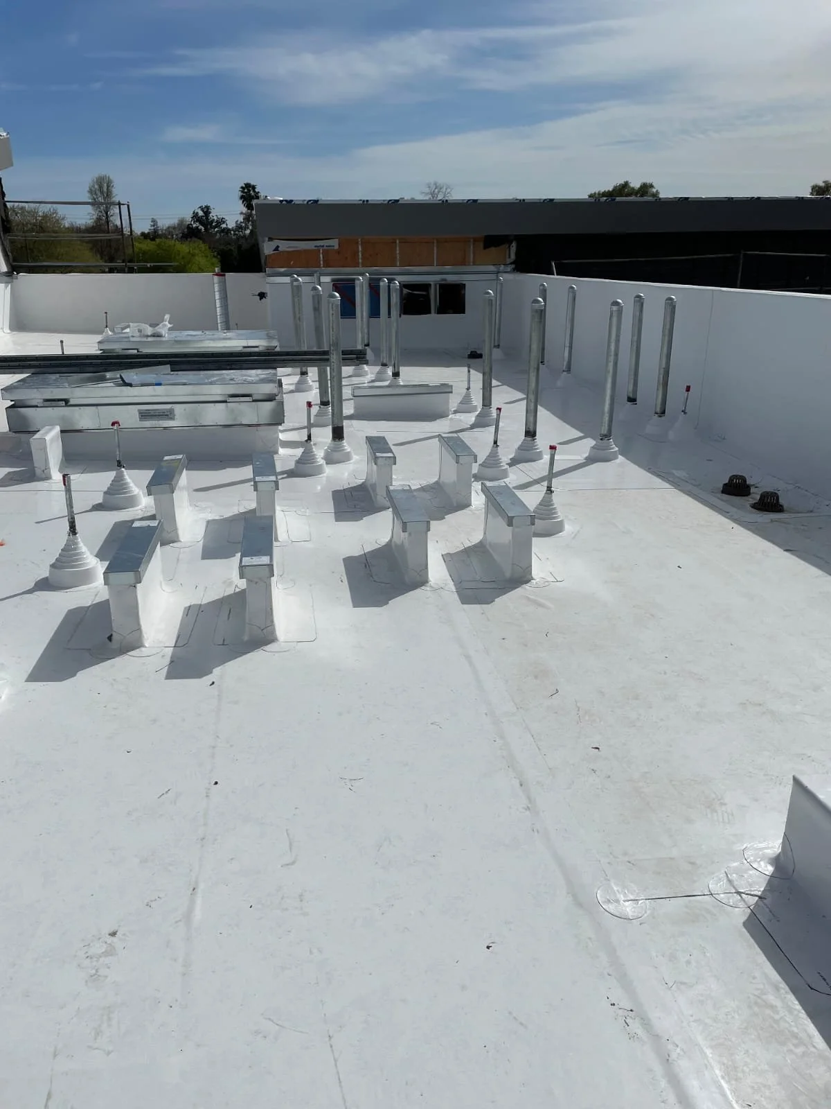 WhatsApp Image 2025-11-27 at 11.18.53 PM.jpeg