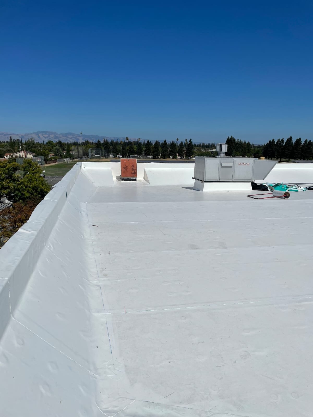 WhatsApp Image 2025-11-27 at 11.17.27 PM.jpeg