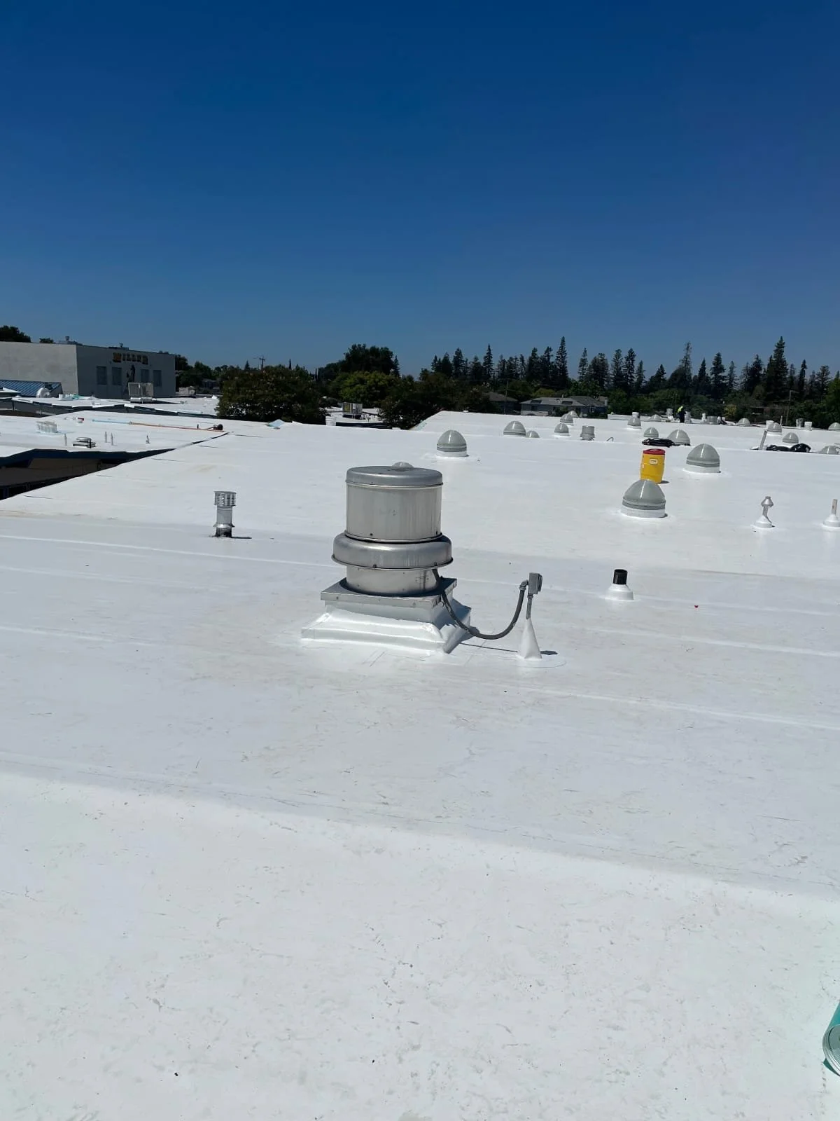 WhatsApp Image 2025-11-27 at 11.17.57 PM.jpeg