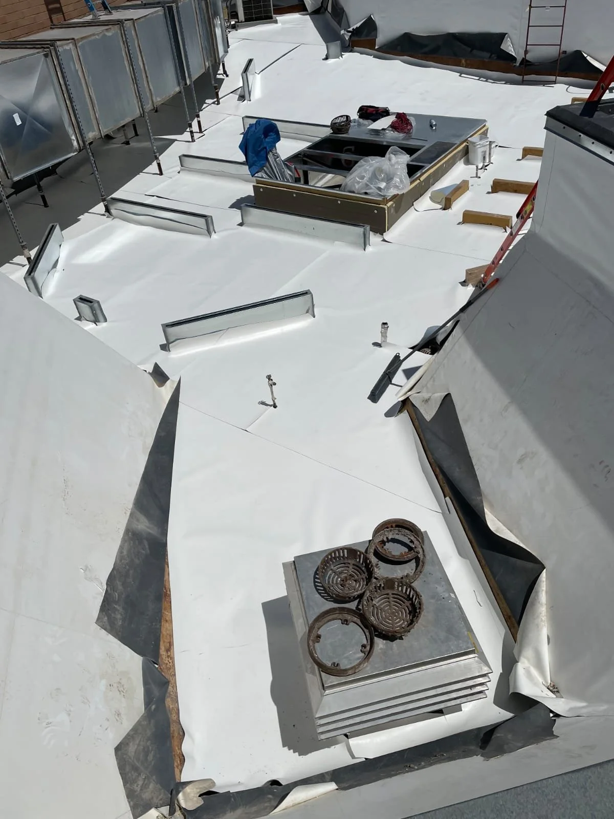 WhatsApp Image 2025-11-27 at 11.18.47 PM.jpeg