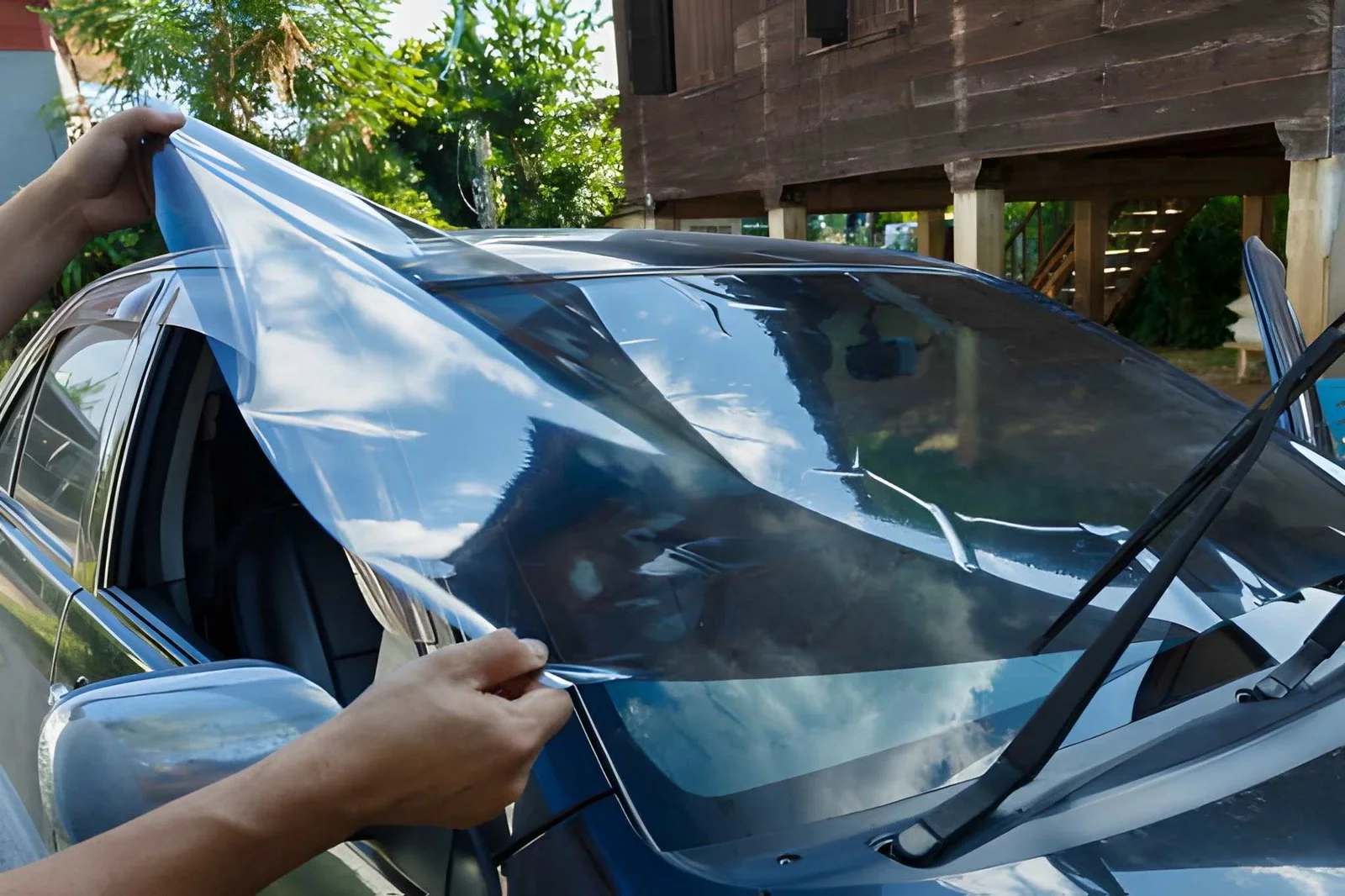 Windshield Protection Film