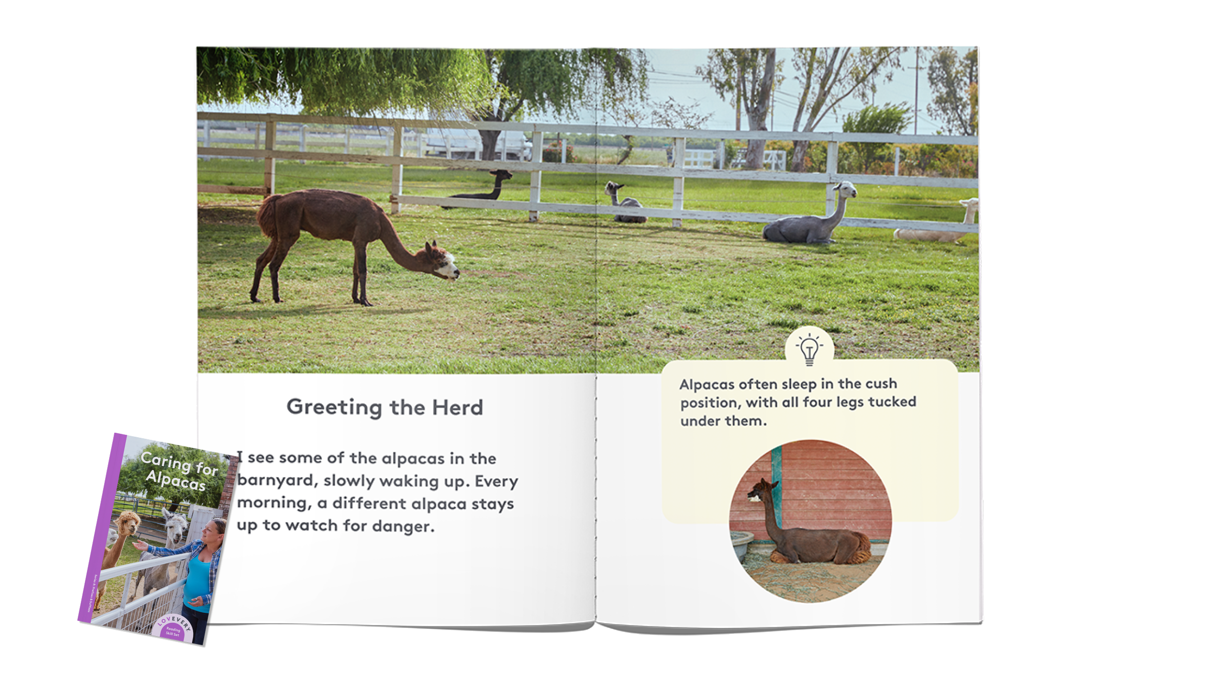 A Look Inside_Series 8_75.png