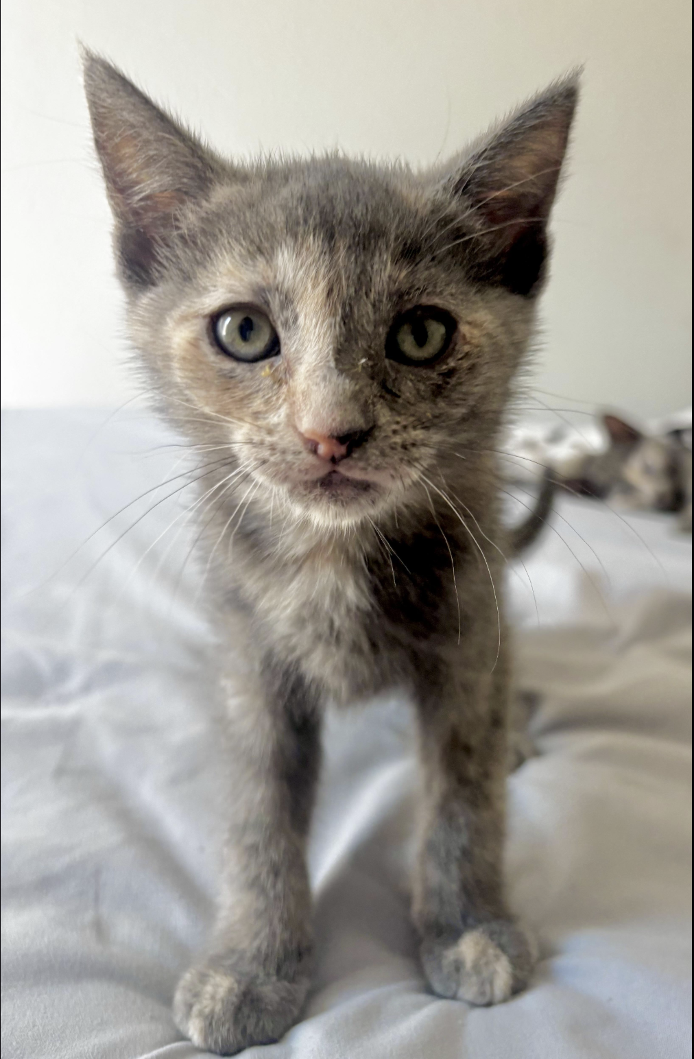 Screenshot 2025-11-10 at 5.56.13 PM.png