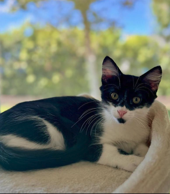 Screenshot 2025-11-13 at 12.48.53 PM.png