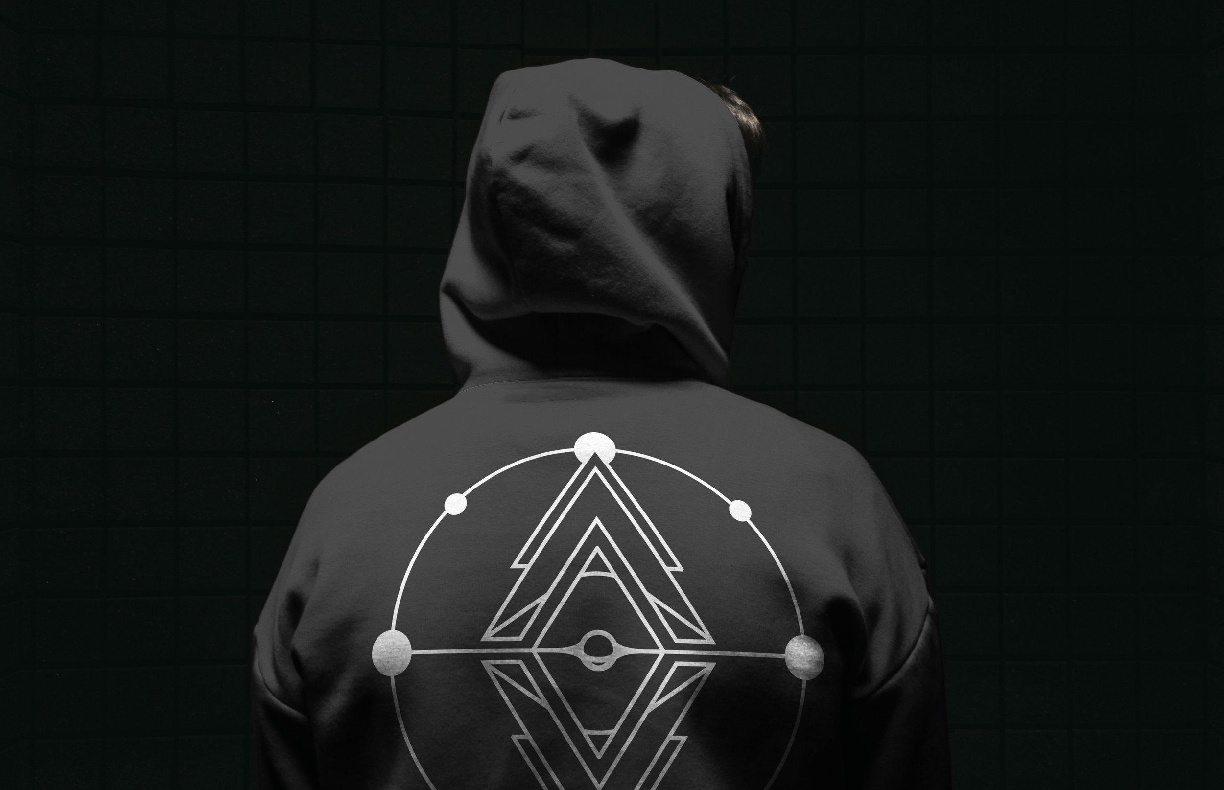 Anomamlie.Hoodie.Back.Mock.Up_01.jpg