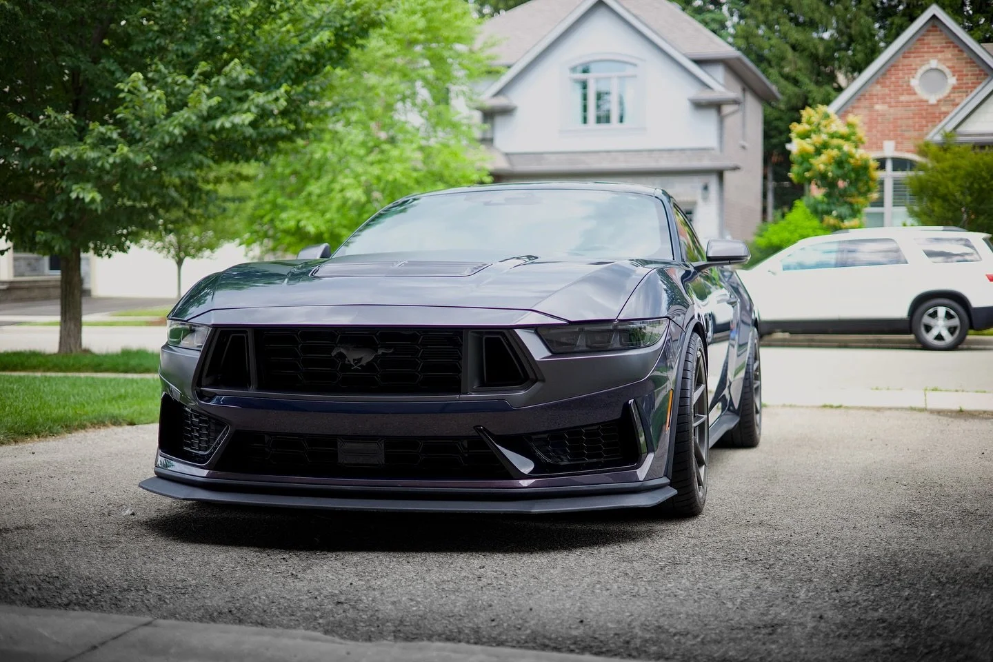 Dark Horse 🤝🏻 Full Detail

Motion Detailing &bull; Professional Car Care at Your Doorstep

📍 Serving Hamilton &amp; Surrounding Areas
🏆 Voted Platinum &mdash; Hamilton&rsquo;s Community Choice Awards
⭐️ 80+ ★★★★★ Reviews

💧 Mobile Interior &amp;