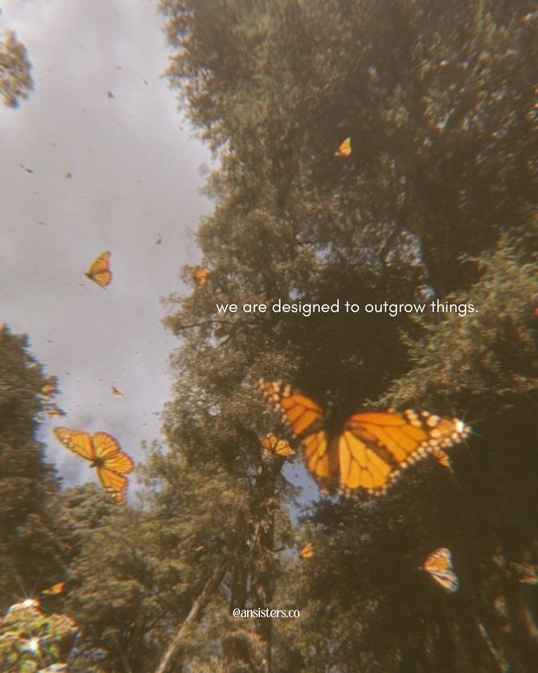 we are meant to outgrow things. to release the tight grip of the past and gently drop into this new version of ourselves with more wisdom, more grace, more love. trust the transformation that is unfolding with the help of this solar eclipse.

sending