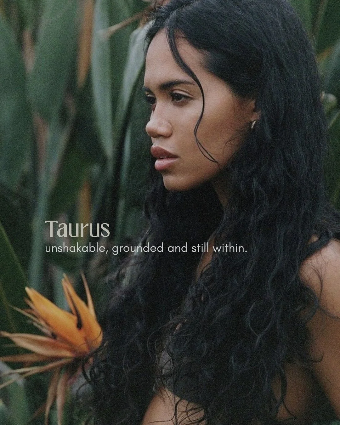 Taurus season invites us to slow down, root into the body, and reconnect with what truly nourishes us&mdash;physically, emotionally, and spiritually. It&rsquo;s a time to ground our intentions, tend to what we value, and create stability from the ins