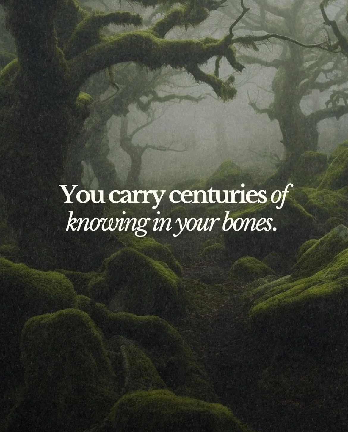 Sunday musings xx 

#healingjourney #spiritualgrowth #growthjourney #spiritualhealing #spiritualquotes #somatichealing #natureheals #nervoussystemhealing