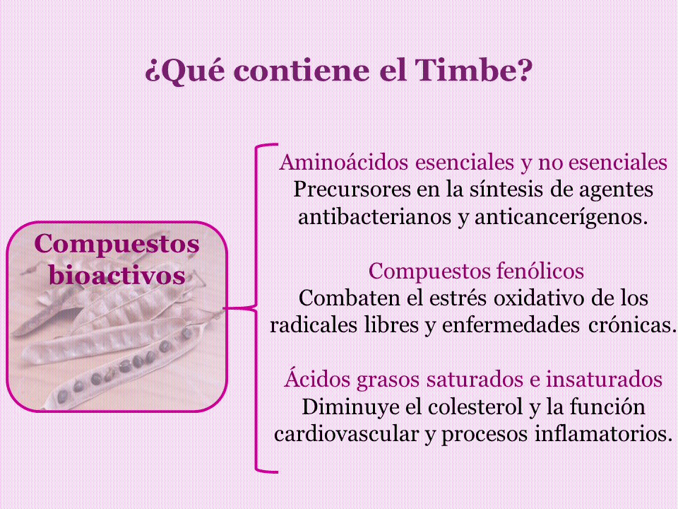 Diapositiva4.PNG