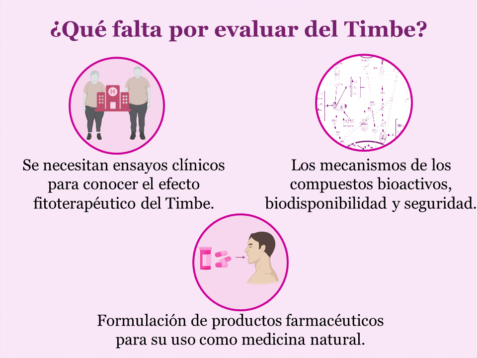 Diapositiva6.PNG
