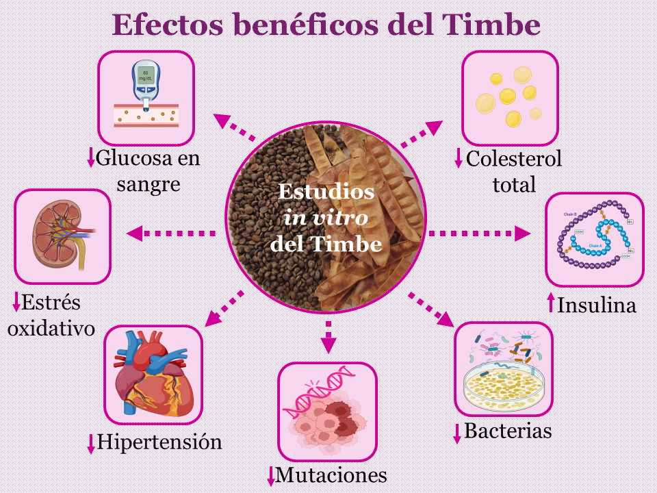 Diapositiva5.PNG
