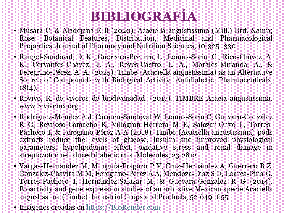 Diapositiva7.PNG