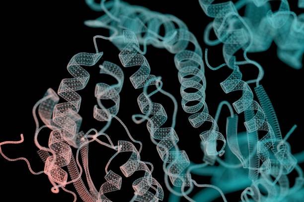 Algunas proteínas de virus oncogénicos contribuyen al cáncer al inactivar las proteínas supresoras tumorales P53 y RB