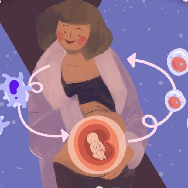 Microquimerismo materno-fetal: un vínculo que trasciende el tiempo