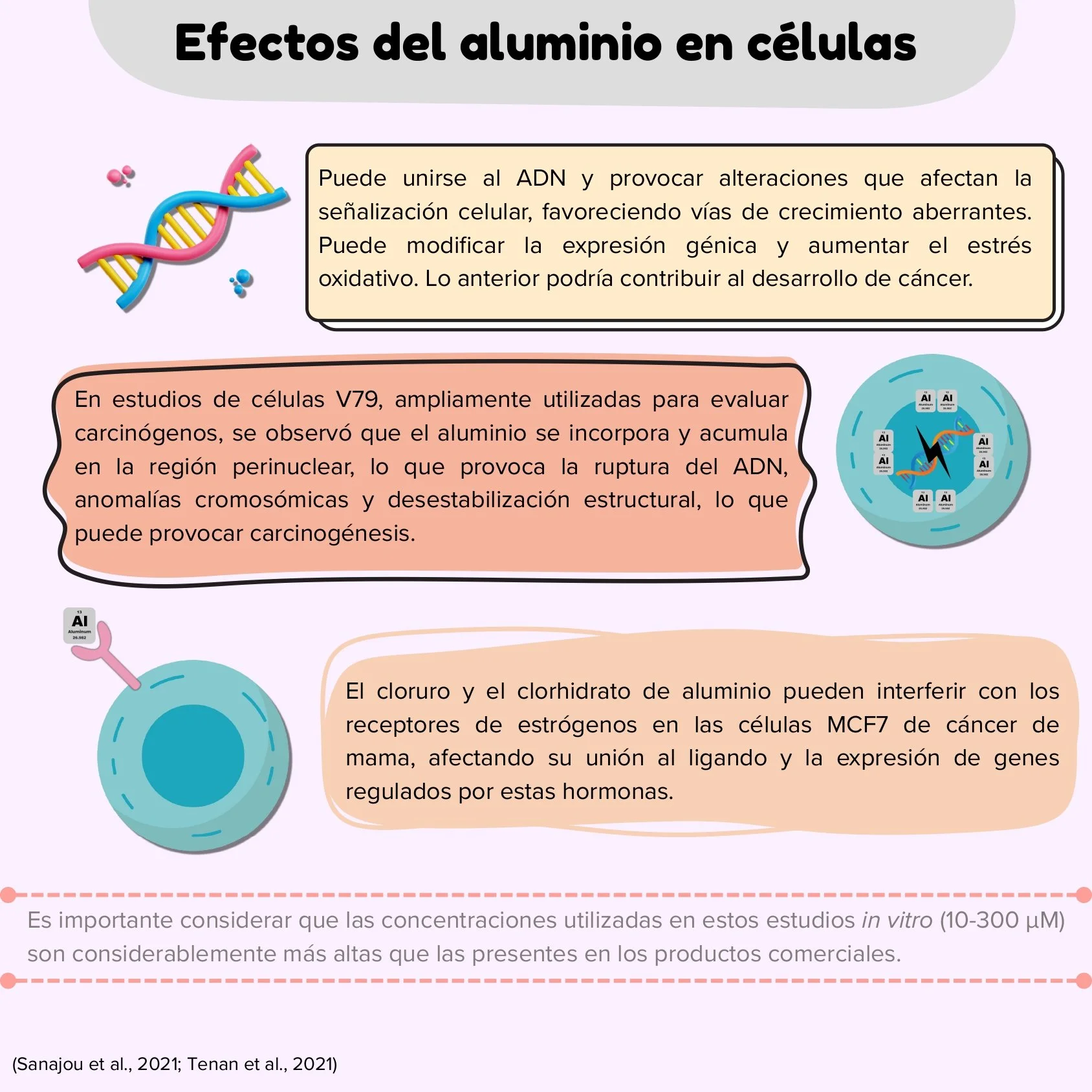 ANTITRANSPIRANTES Y CÁNCER DE MAMA_page-0004.jpg