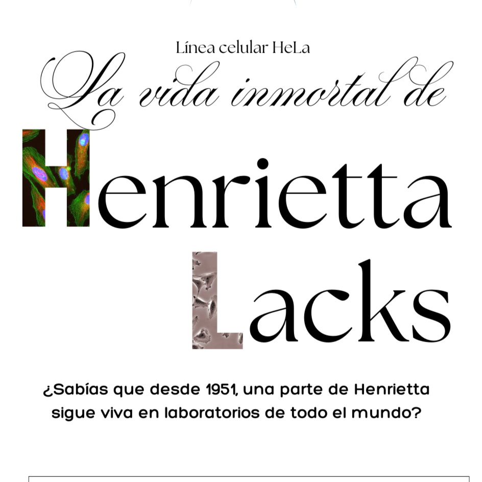 Línea celular HeLa: La vida inmortal de Henrietta Lacks