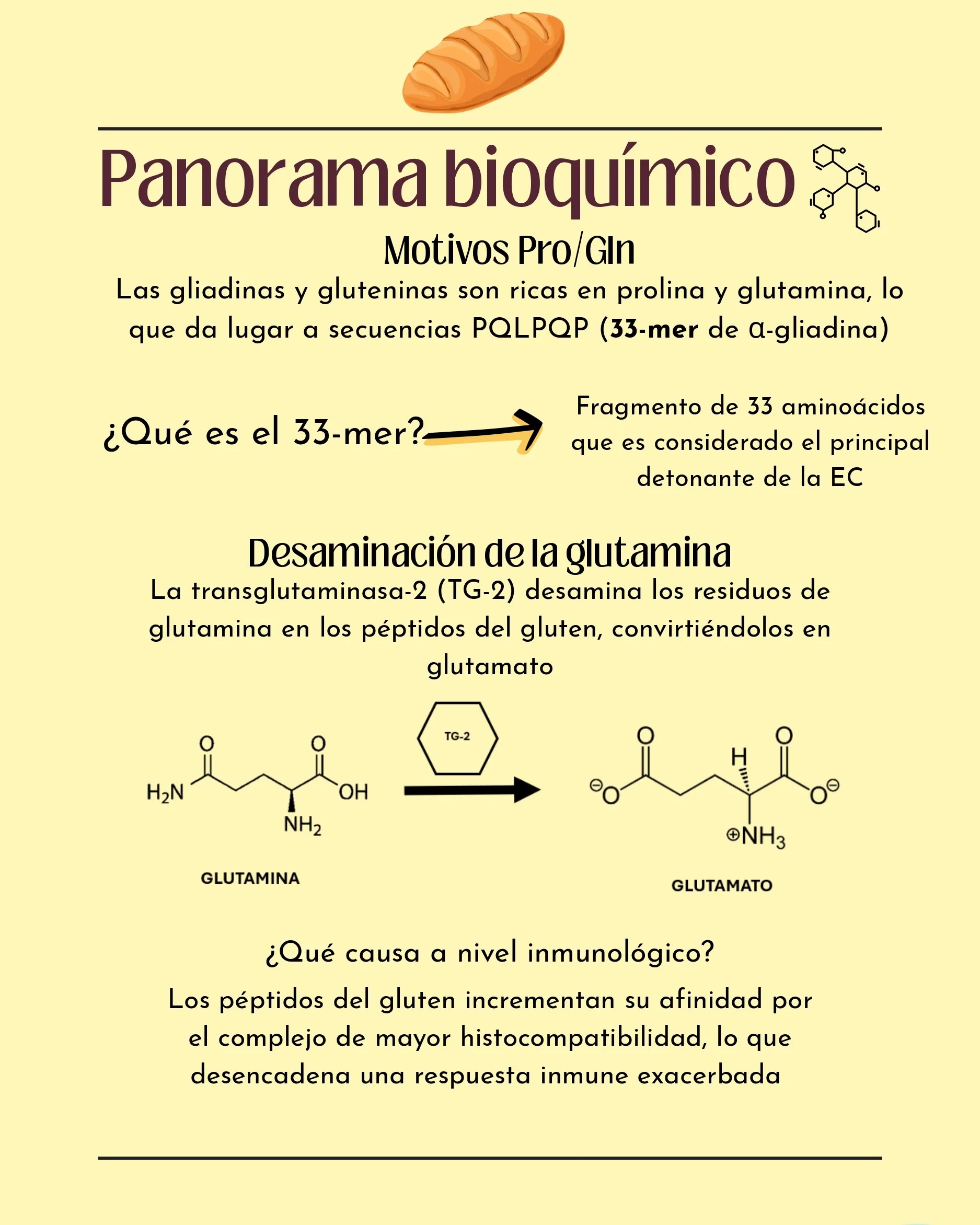 Hablemos de Gluten_page-0003.jpg