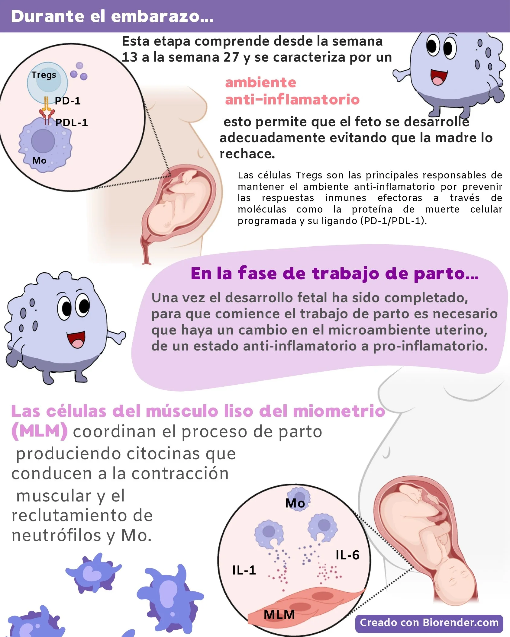 Inmunotip (1)_page-0002.jpg