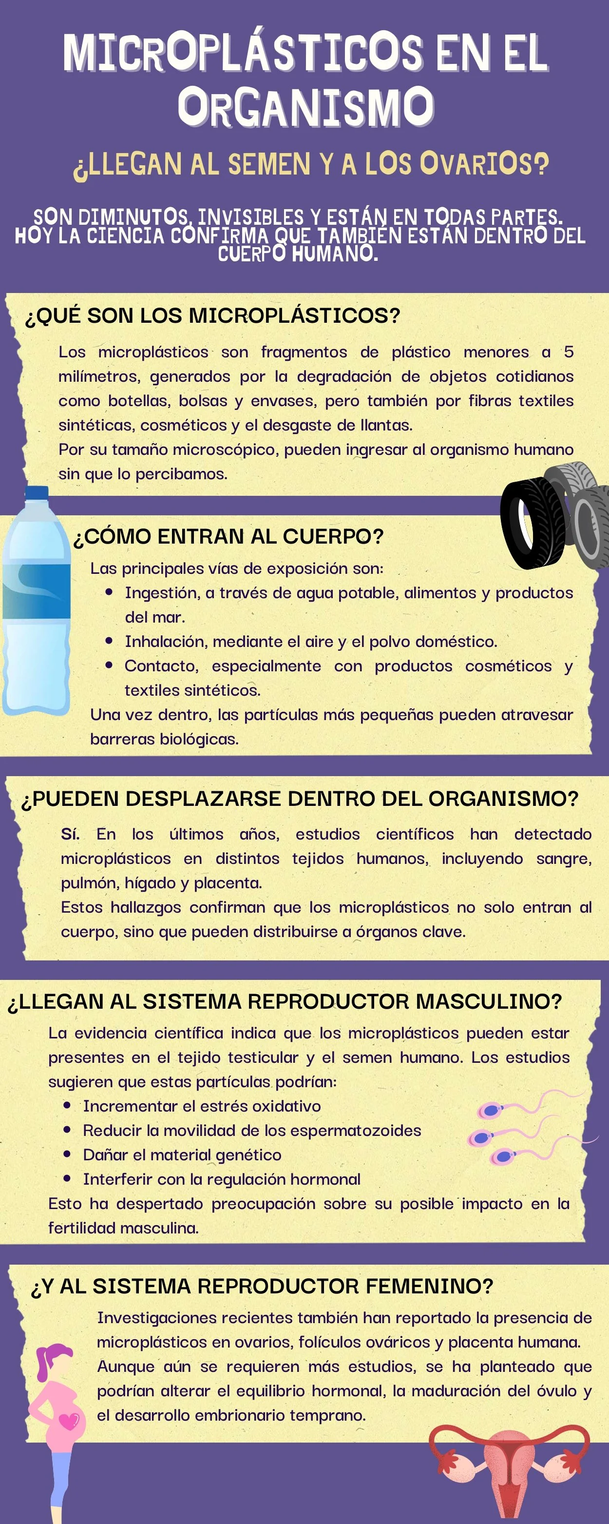 2026-01-20 Infografía Microplásticos_MChirinos_compressed_page-0001.jpg