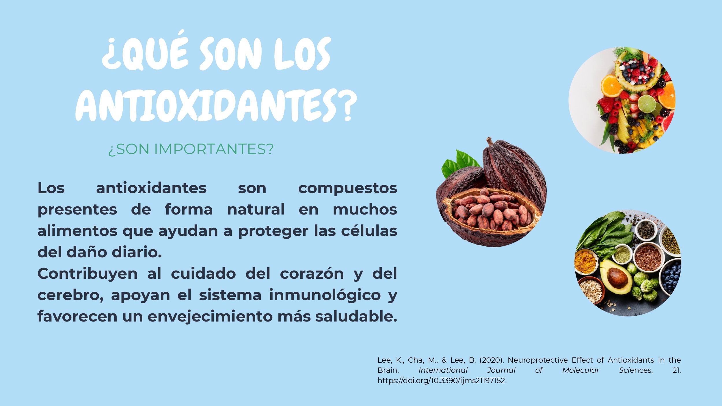 Antioxidantes-2_page-0003.jpg