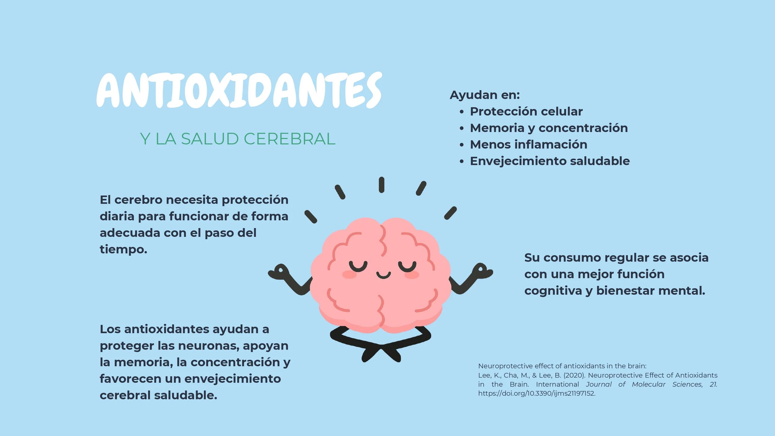 Antioxidantes-2_page-0005.jpg