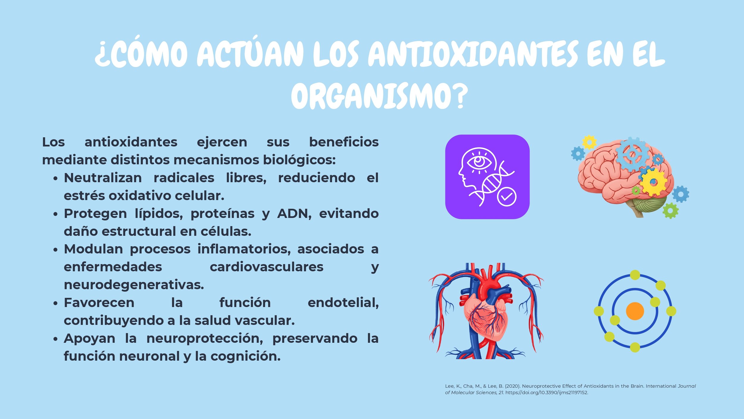 Antioxidantes-2_page-0006.jpg