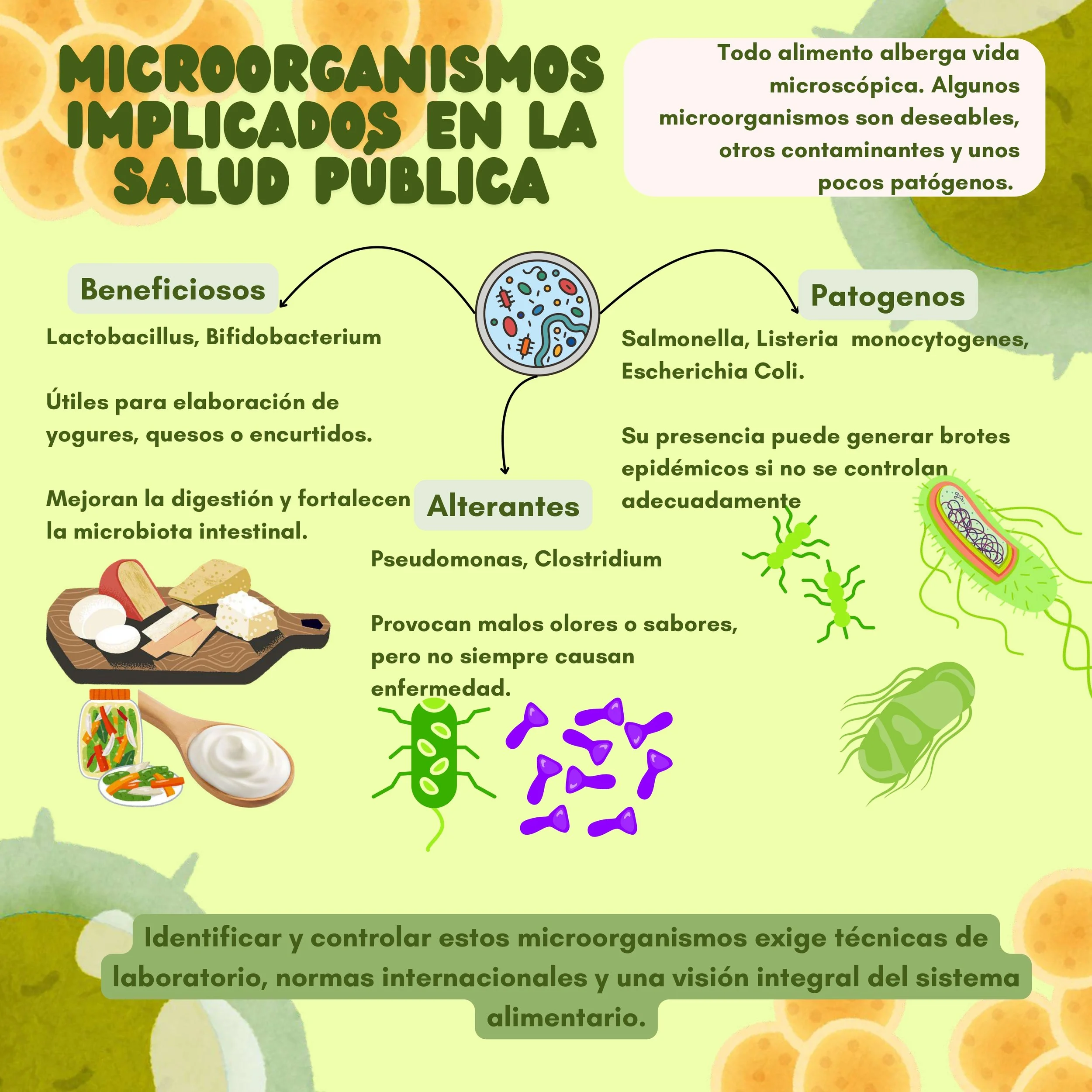 CARRUSEL CIENTIFICAMENTE  0.2_page-0003.jpg