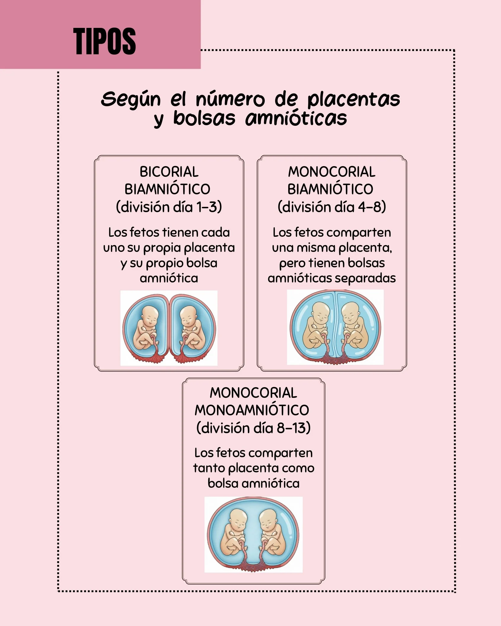 TIPOS DE EMBARAZO MÚLTIPLE_ RIVERA CORTÉS_ ZOE NATASSJA_page-0003.jpg