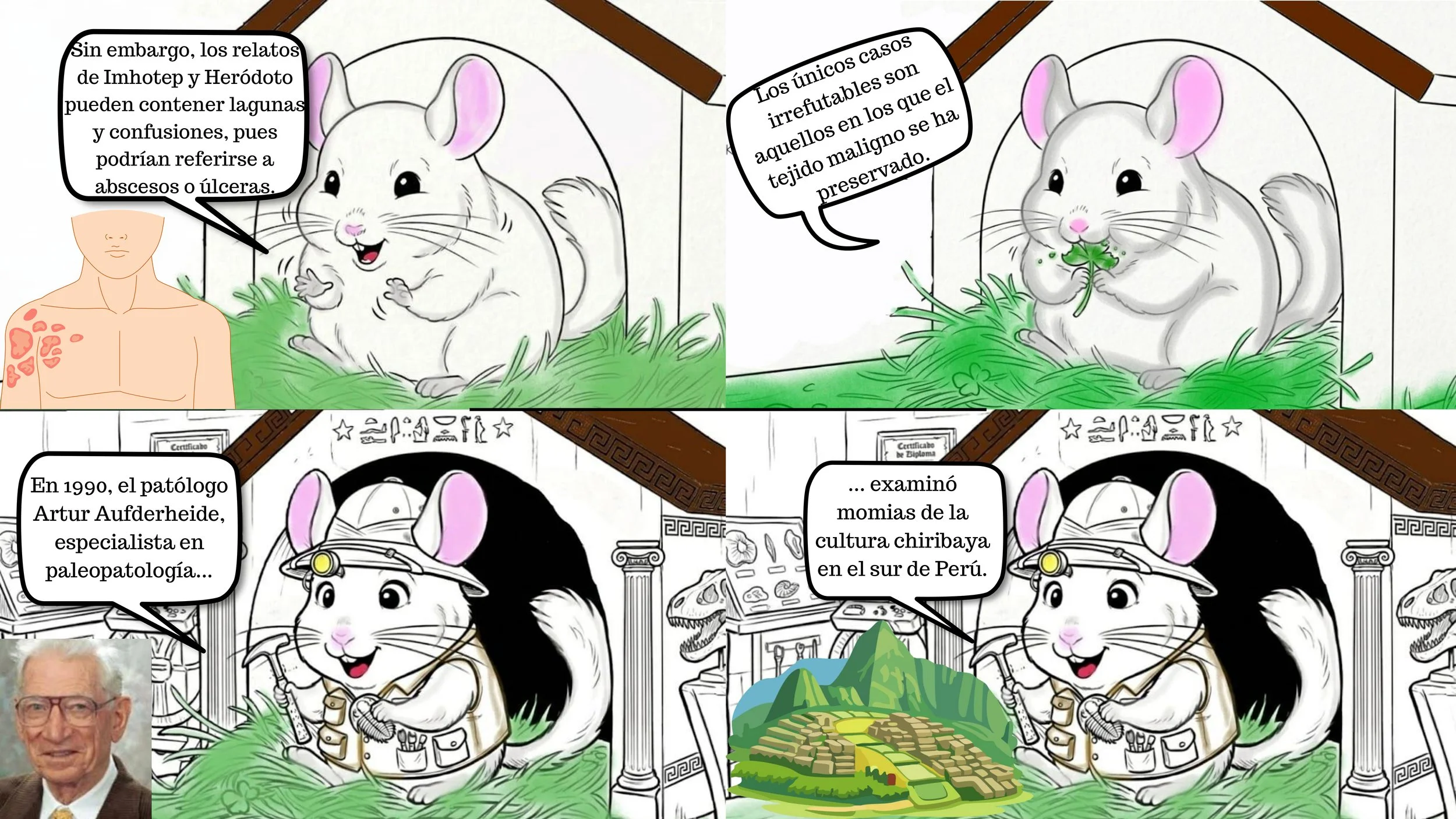 LOR ORÍGENES DEL CÁNCER-8.jpg