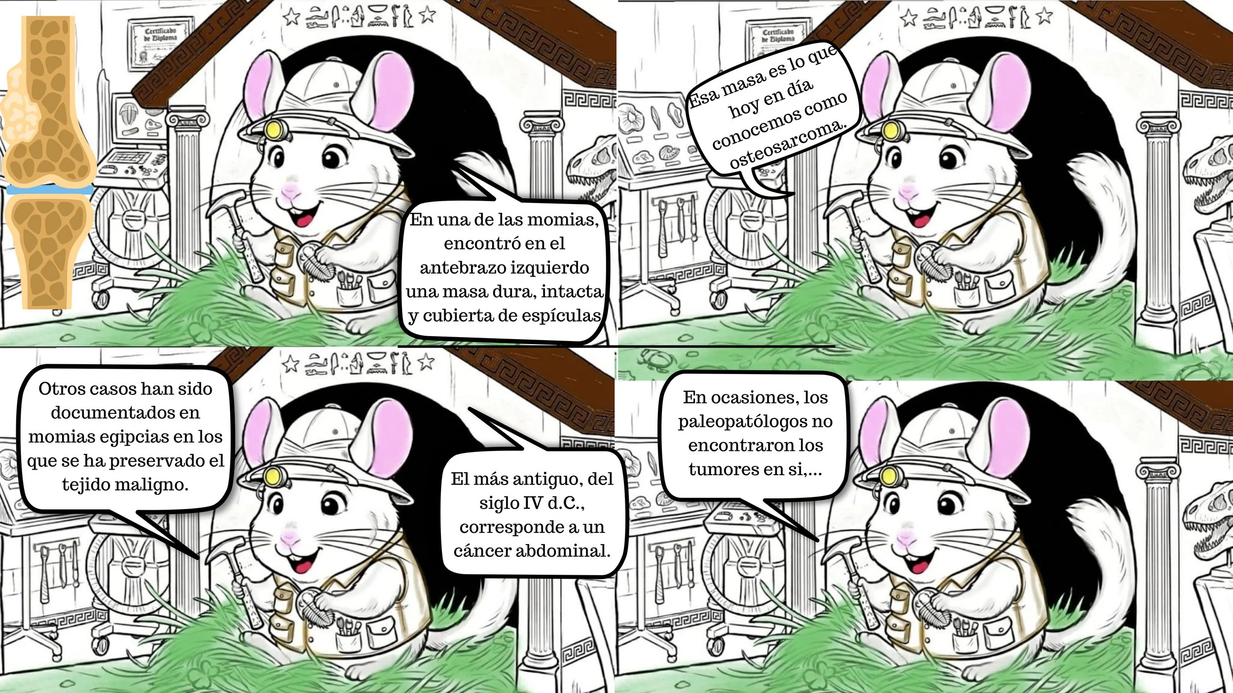 LOR ORÍGENES DEL CÁNCER-9.jpg