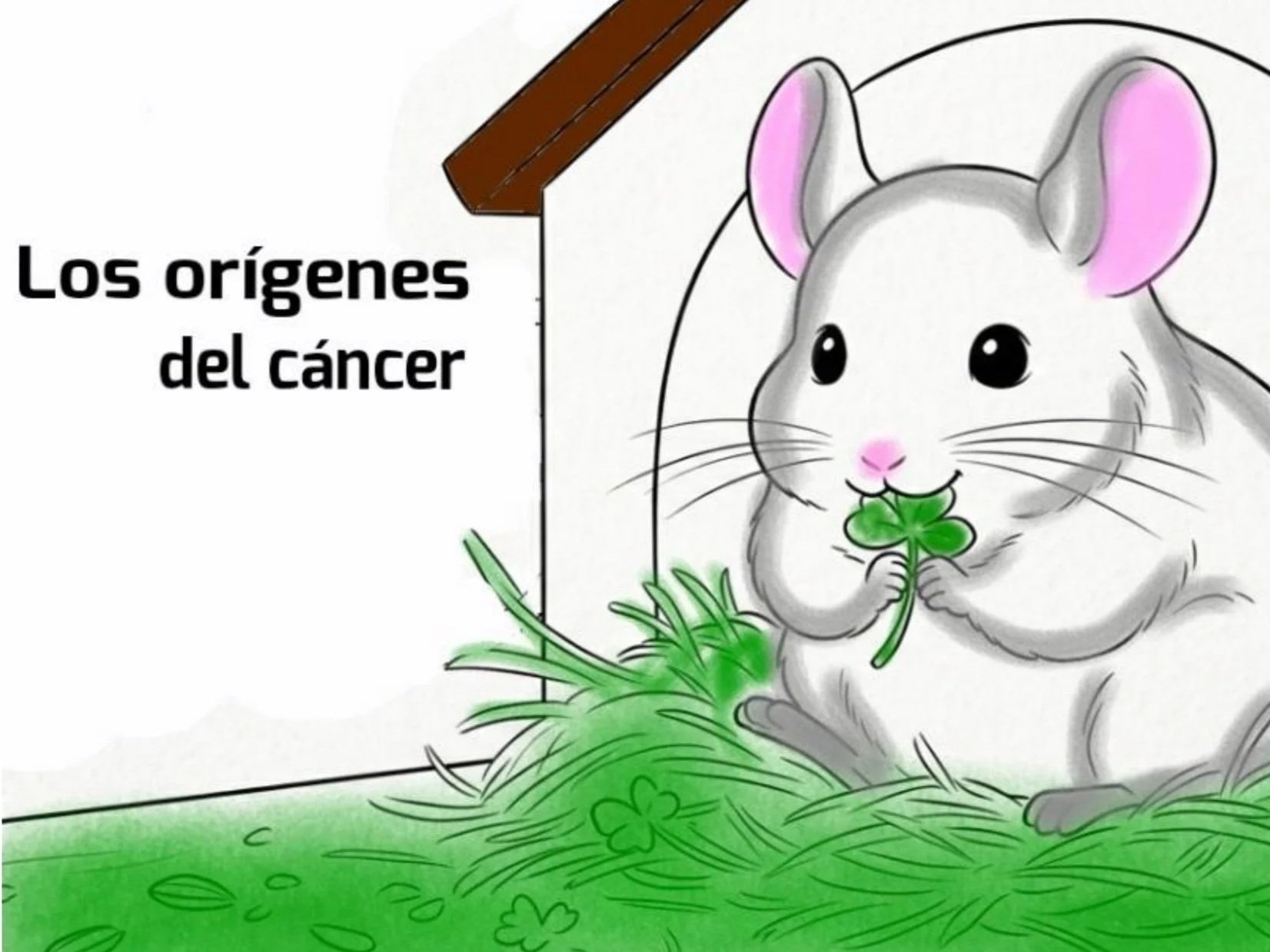 Los orígenes del cáncer