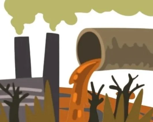 ¡Bio te cuenta qué es la biorremediación ex situ!