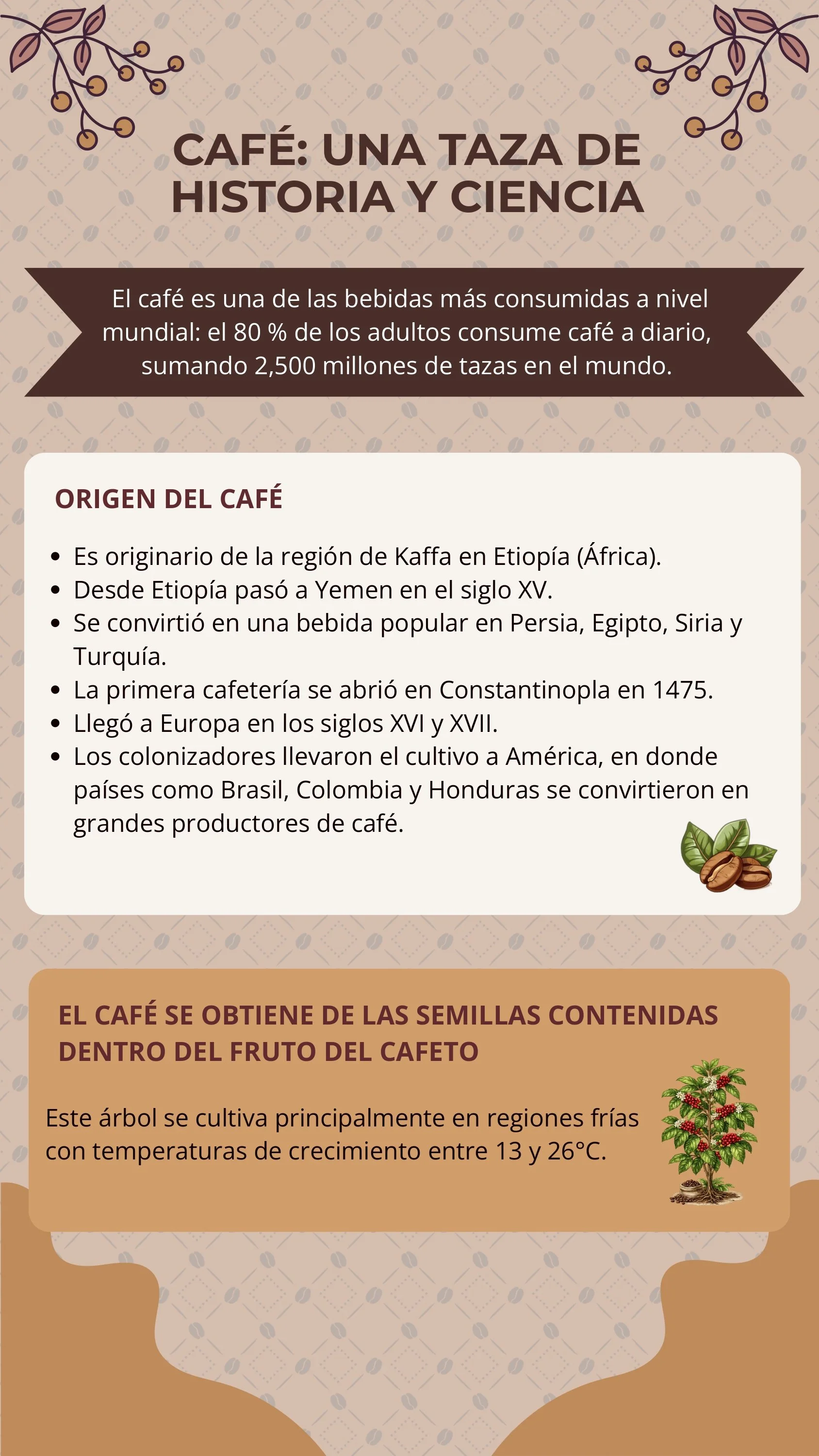 Infografía Café_ una taza de historia y ciencia_Corregido_page-0001.jpg