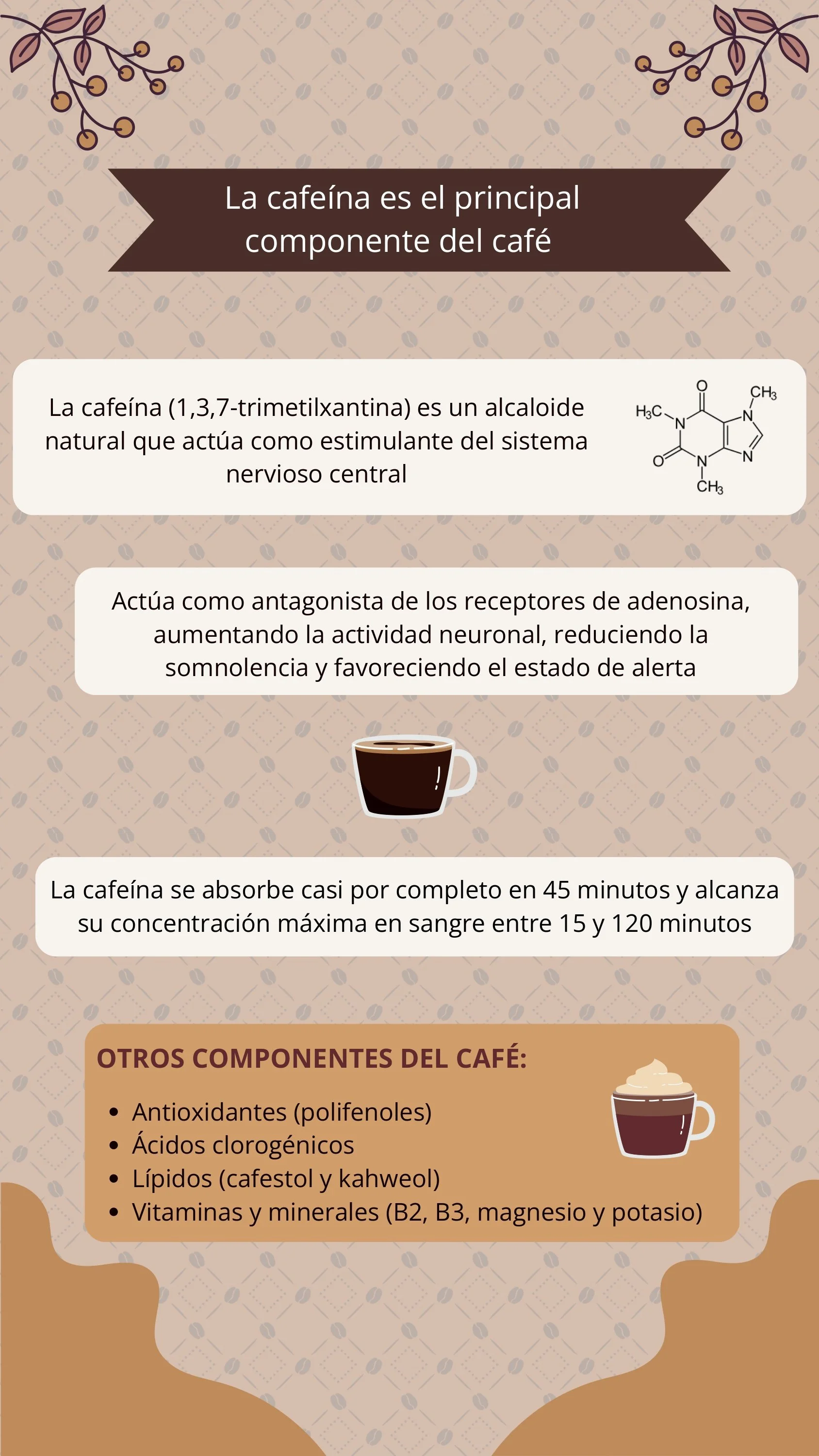 Infografía Café_ una taza de historia y ciencia_Corregido_page-0002.jpg