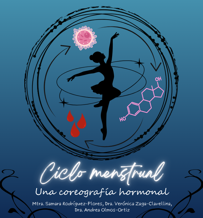 Ciclo menstrual: una coreografía hormonal