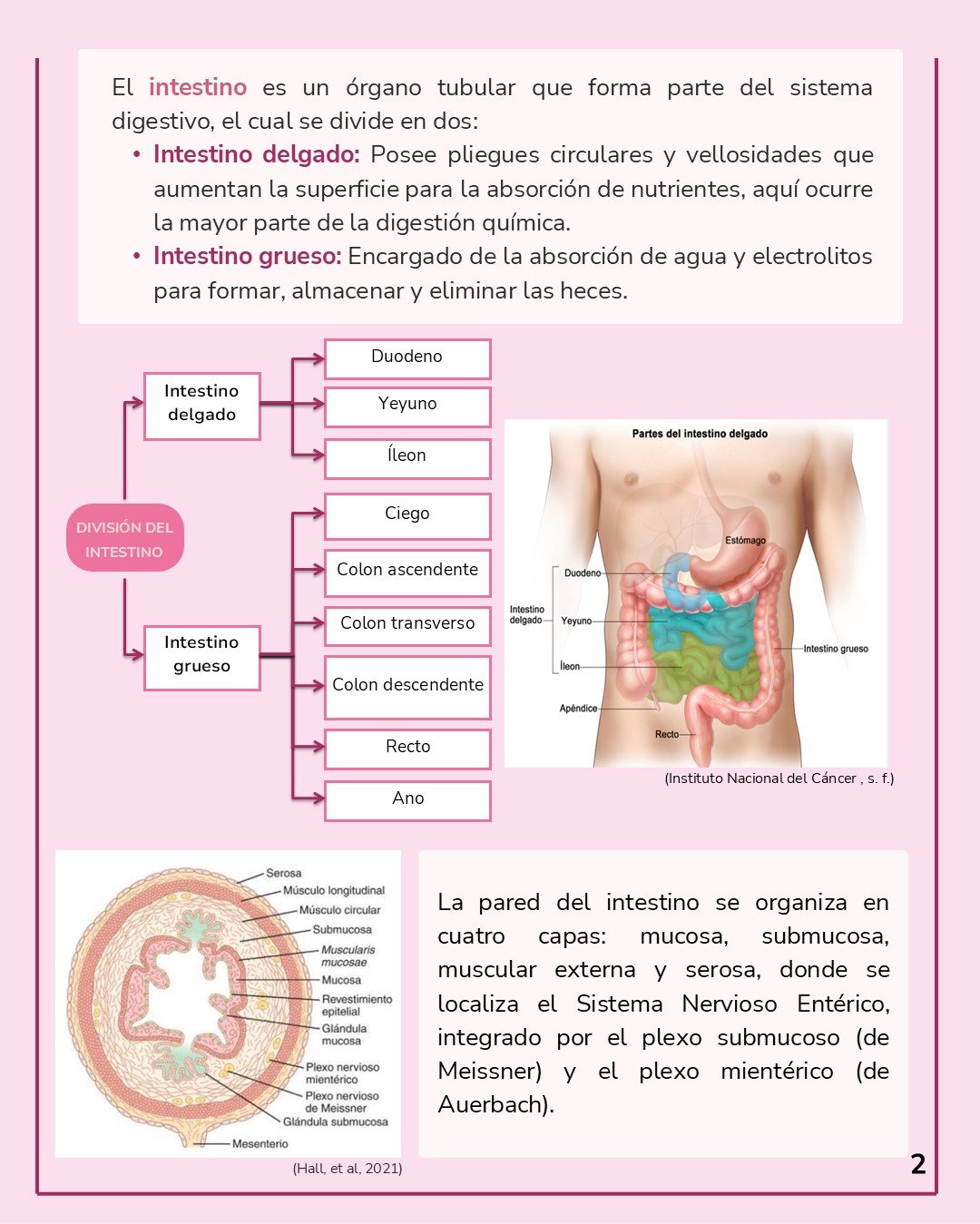 Diapositiva2 (1).JPG