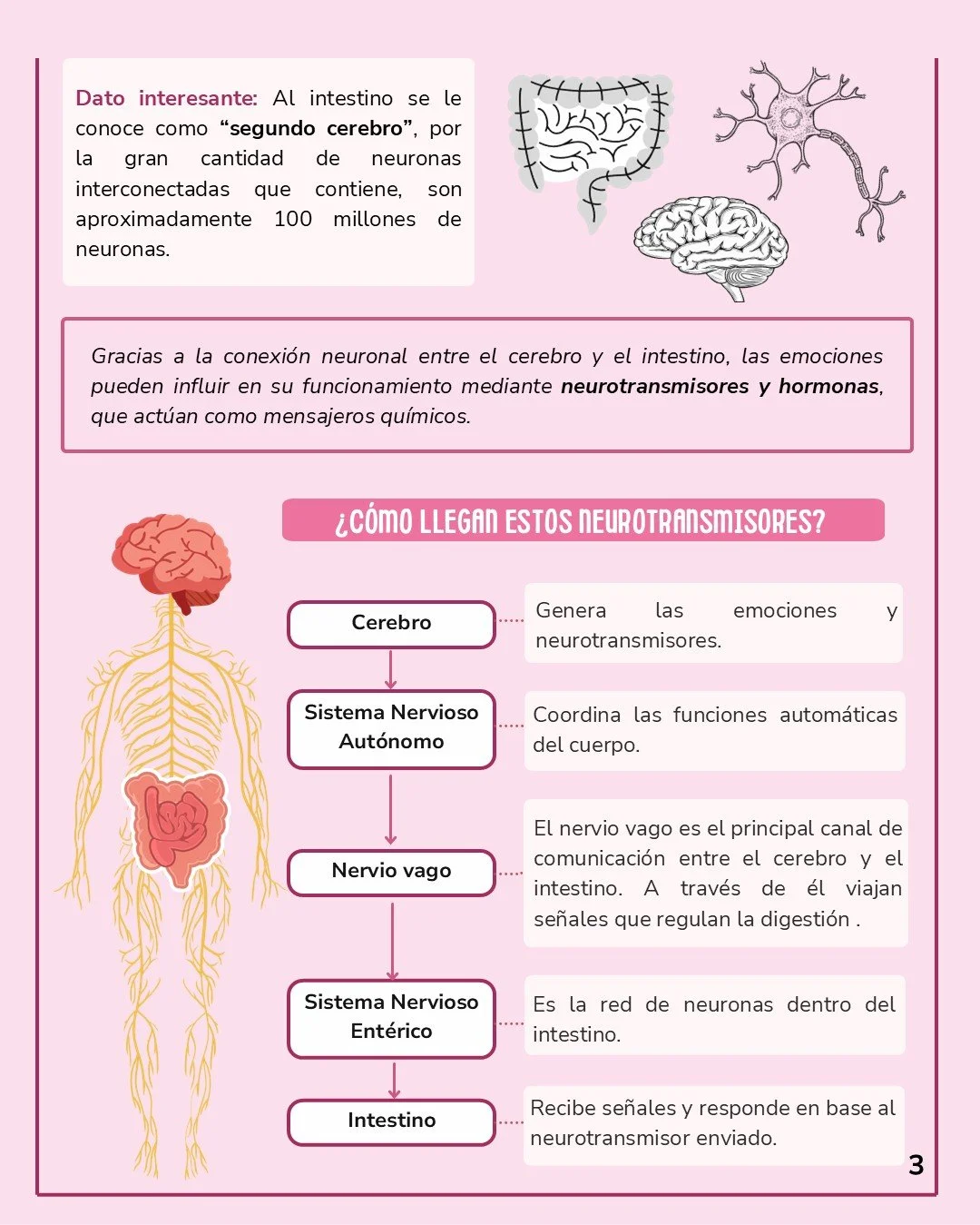 Diapositiva3 (1).JPG