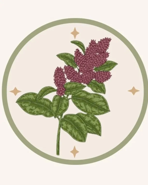 Hoja de amaranto: nutrición en cada hoja