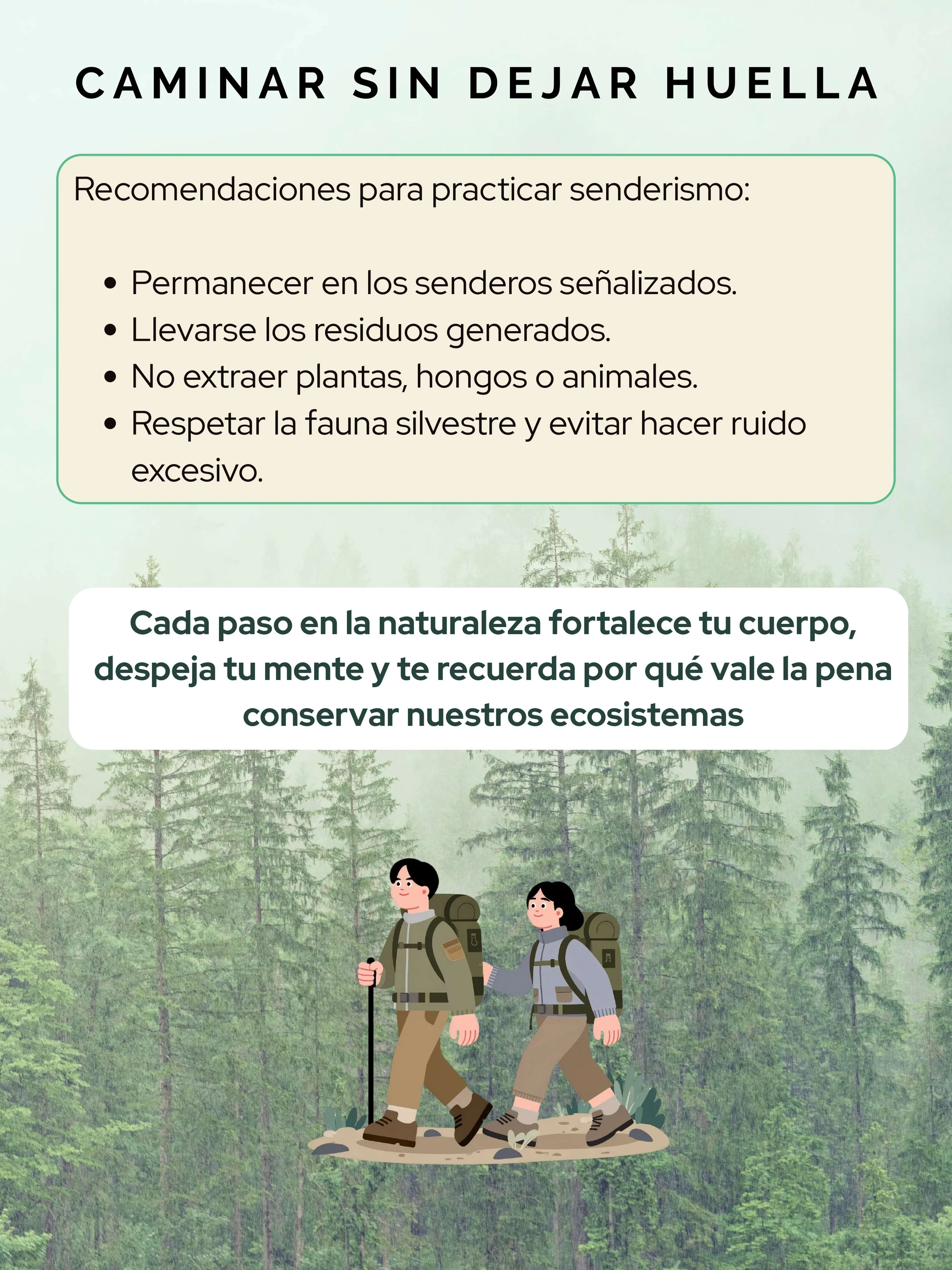 Infografía La ciencia detrás del senderismo_GHS_page-0006.jpg
