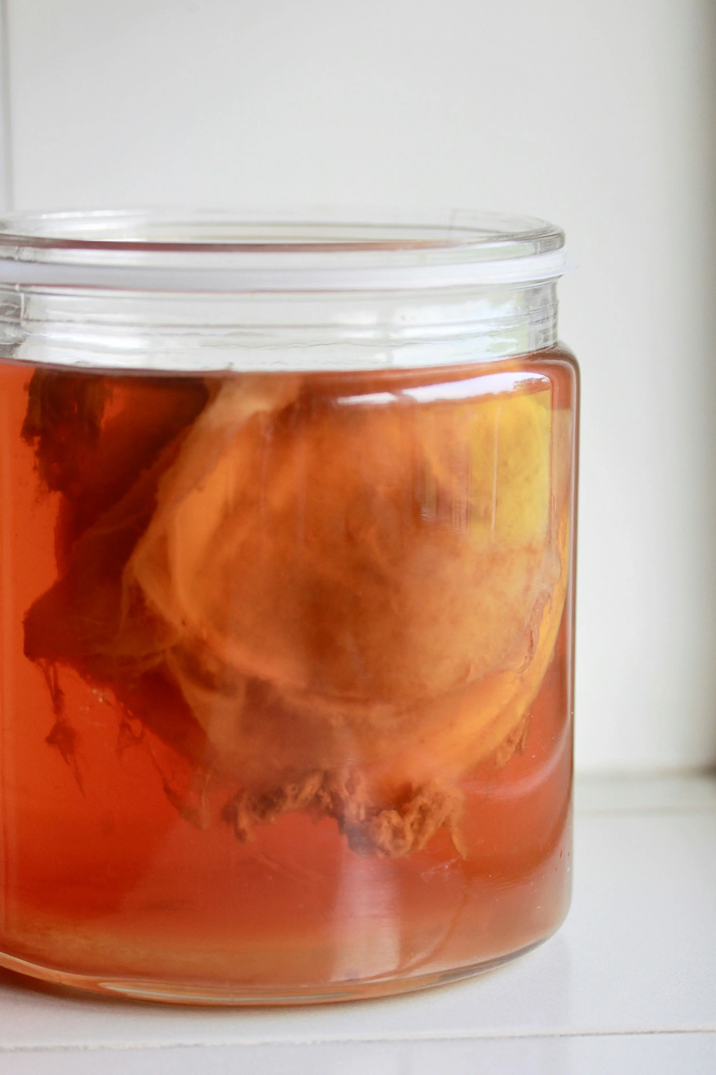 La kombucha y su elaboración
